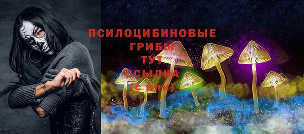 прущие грибы Касимов