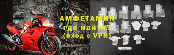 прущие грибы Касимов
