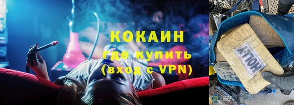 прущие грибы Касимов