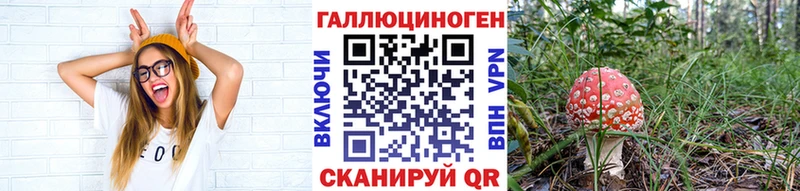 Купить закладки  Белоусово  Галлюциногенные грибы Psilocybine cubensis 
