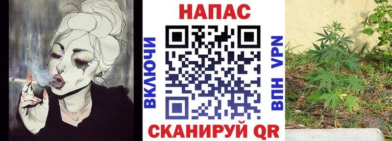 Купить закладки  Белоусово  Канабис AK-47 